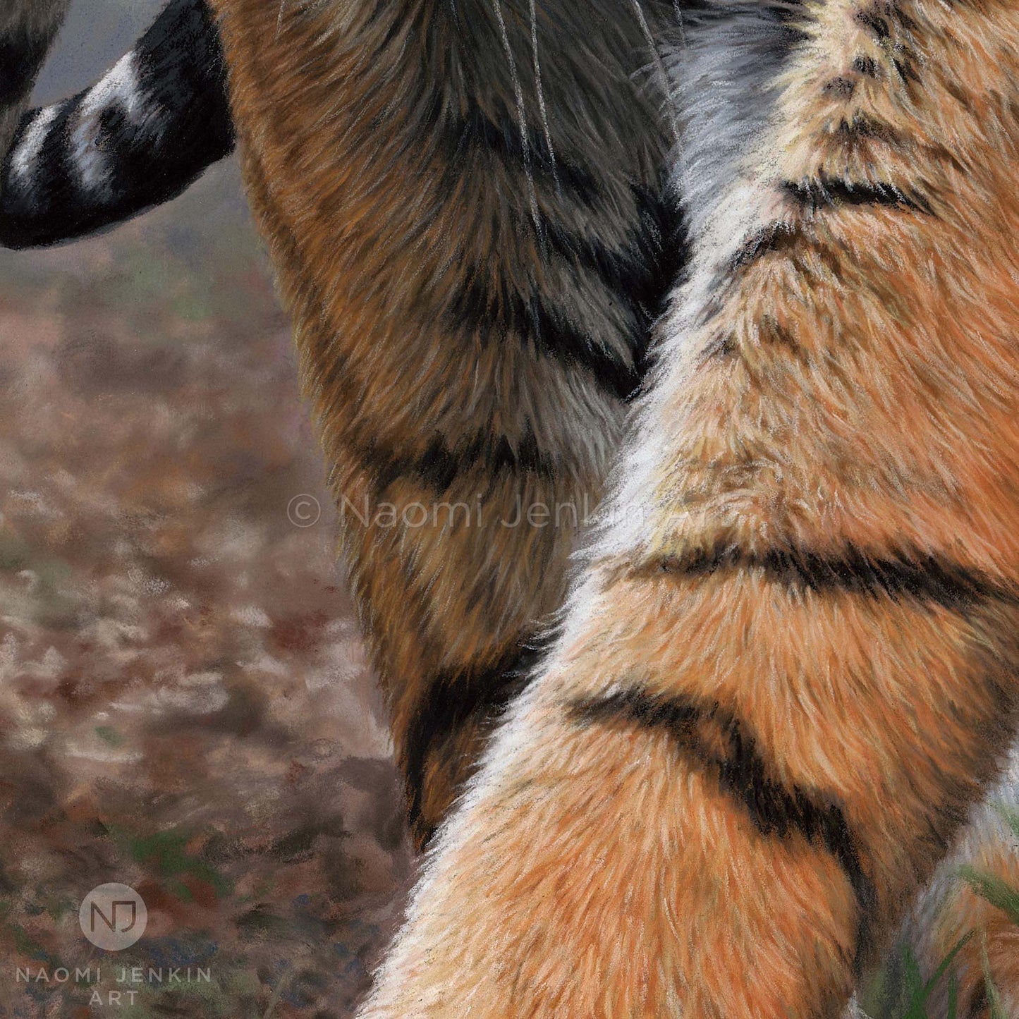 Close up detail from tiger painting "Stealth" by Naomi Jenkin Art