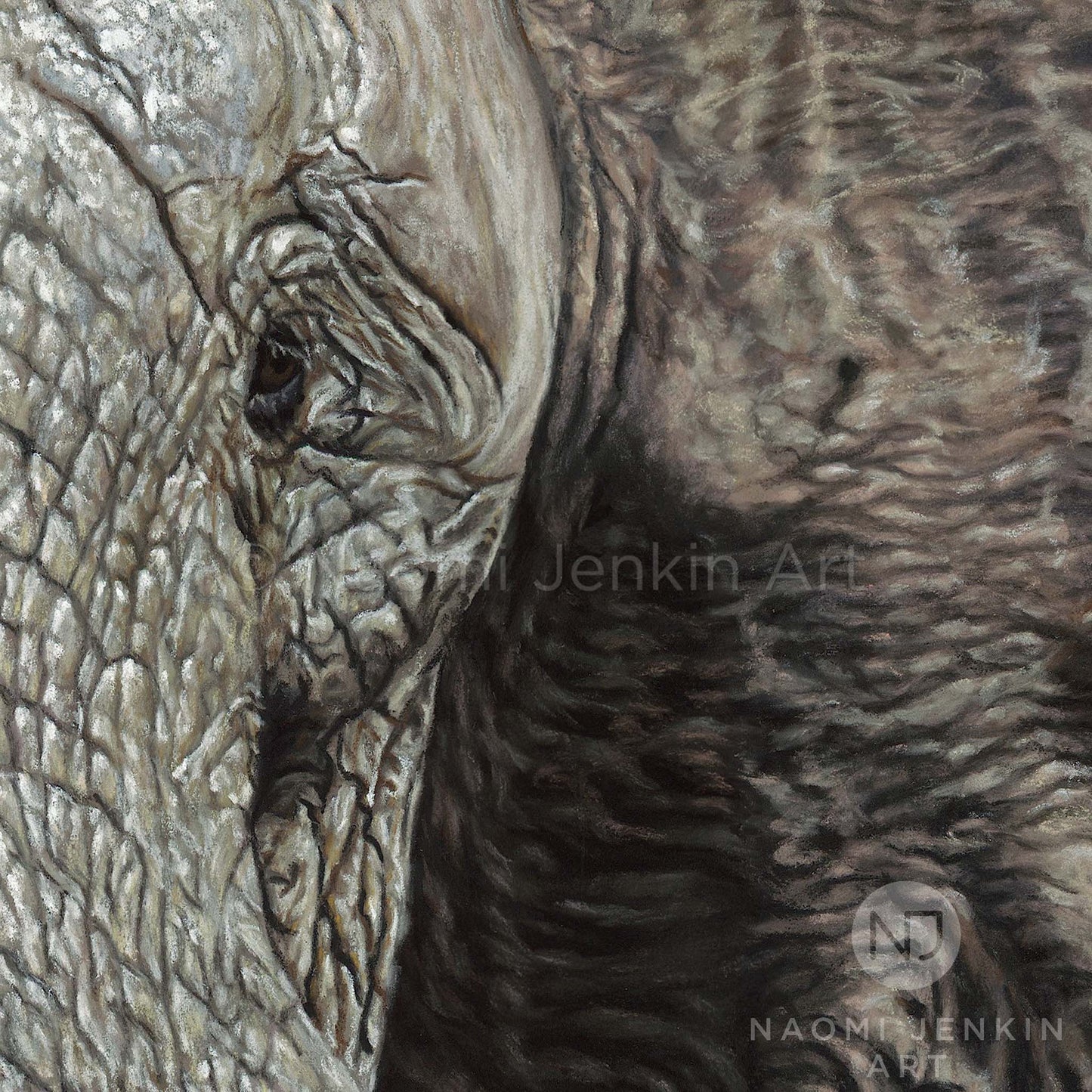 Original elephant painting by Naomi Jenkin