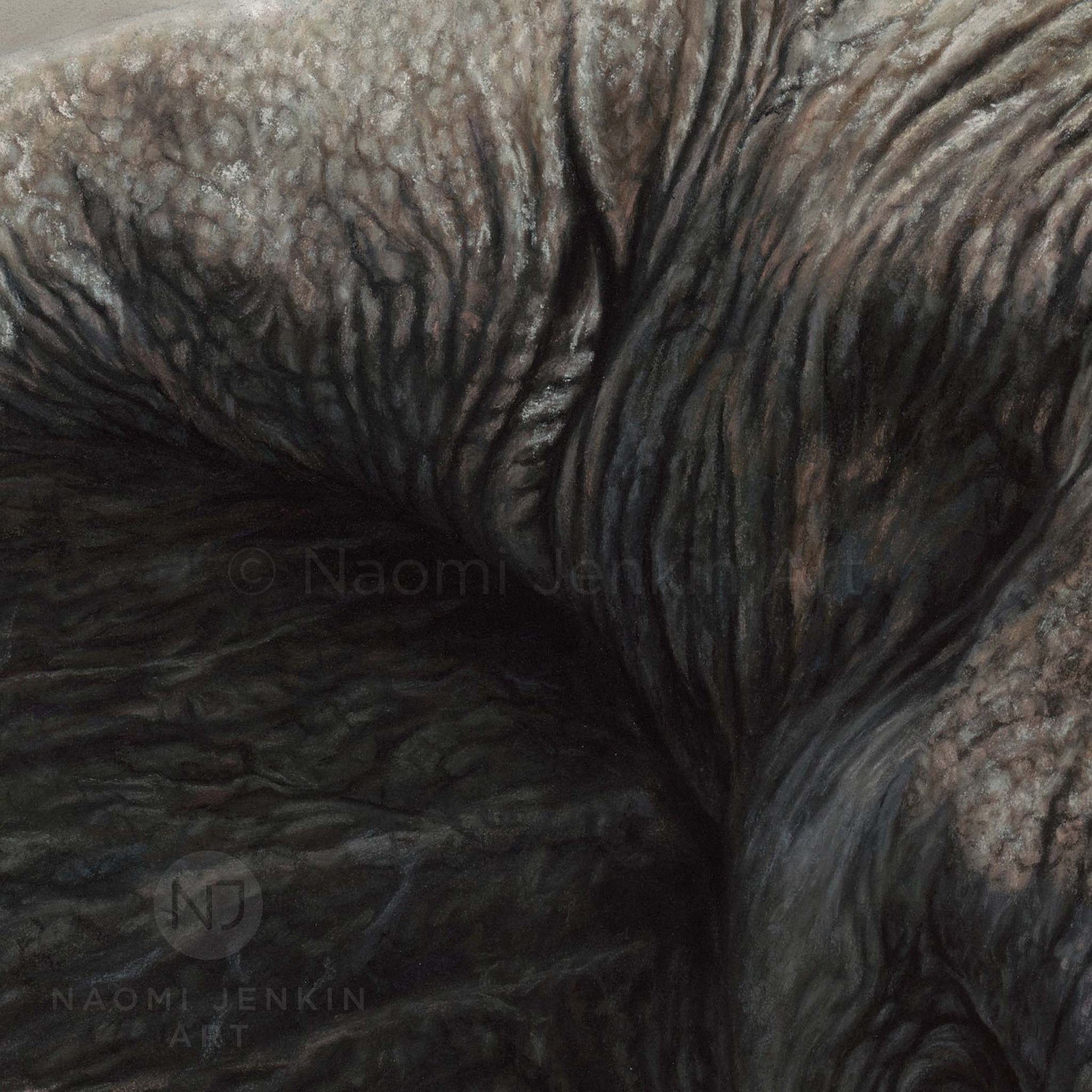 Close-up elephant artwork by Naomi Jenkin
