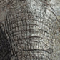 Close-up original artwork detail from an African elephant painting