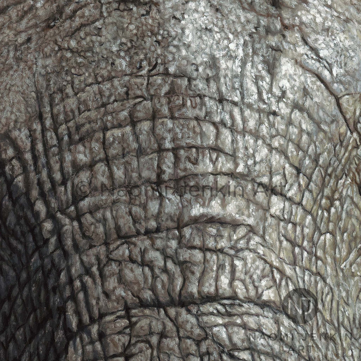 Close up elephant drawing from the print 'The Elephant Charge' by Naomi Jenkin