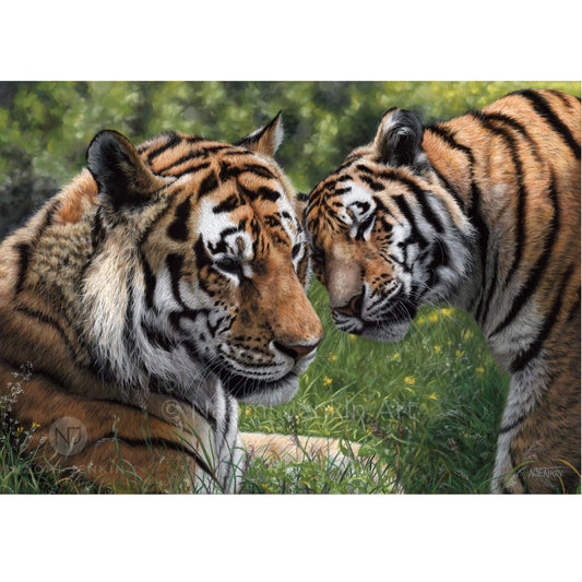Original tiger painting by wildlife artist Naomi Jenkin Art