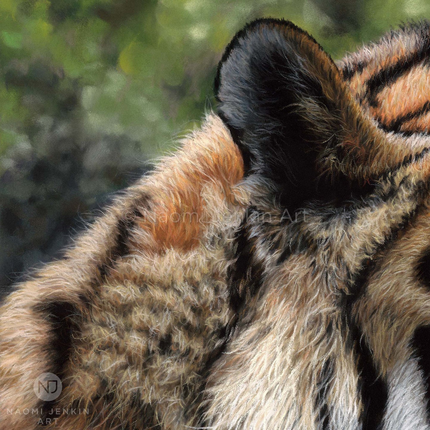 Close up tiger fur from a pastel painting print by wildlife artist Naomi Jenkin