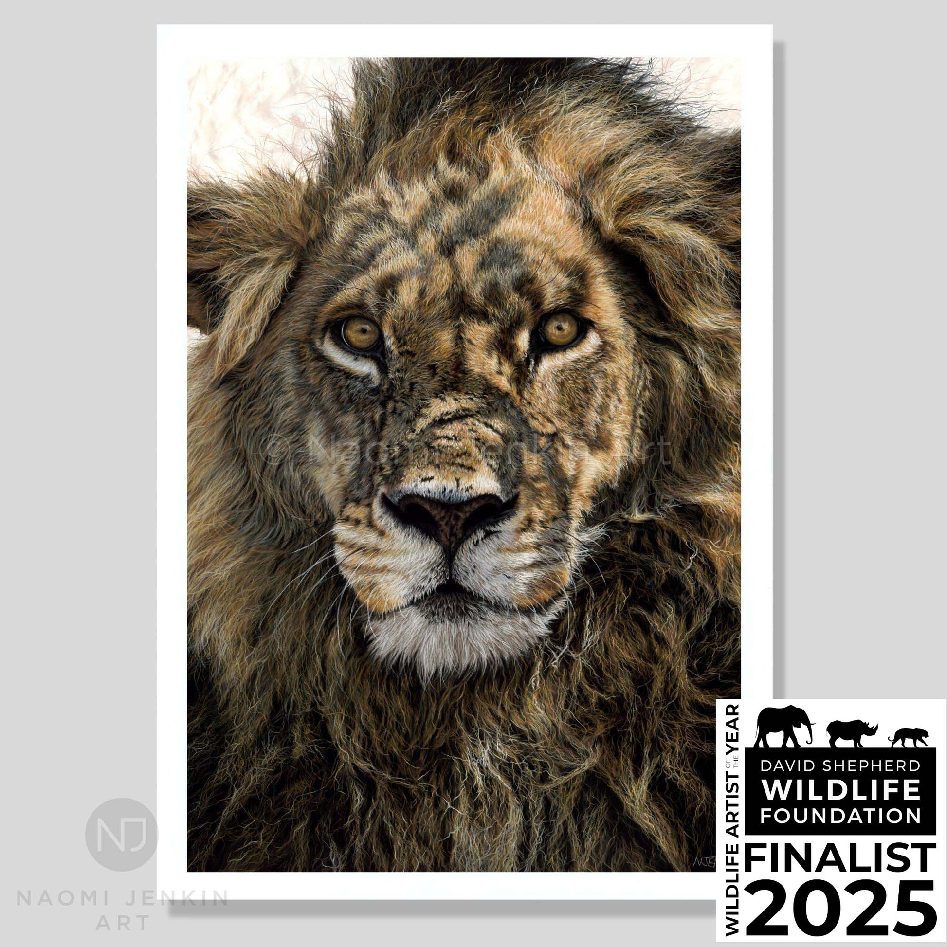 Fine art print of a lion painting titled "Warrior" by wildlife pastel artist Naomi Jenkin. Wildlife Artist of the Year 2025 finalist. 