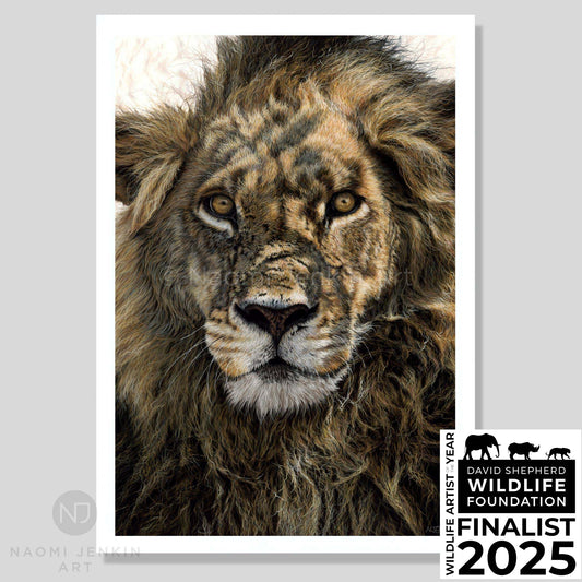 Fine art print of a lion painting titled "Warrior" by wildlife pastel artist Naomi Jenkin. Wildlife Artist of the Year 2025 finalist. 