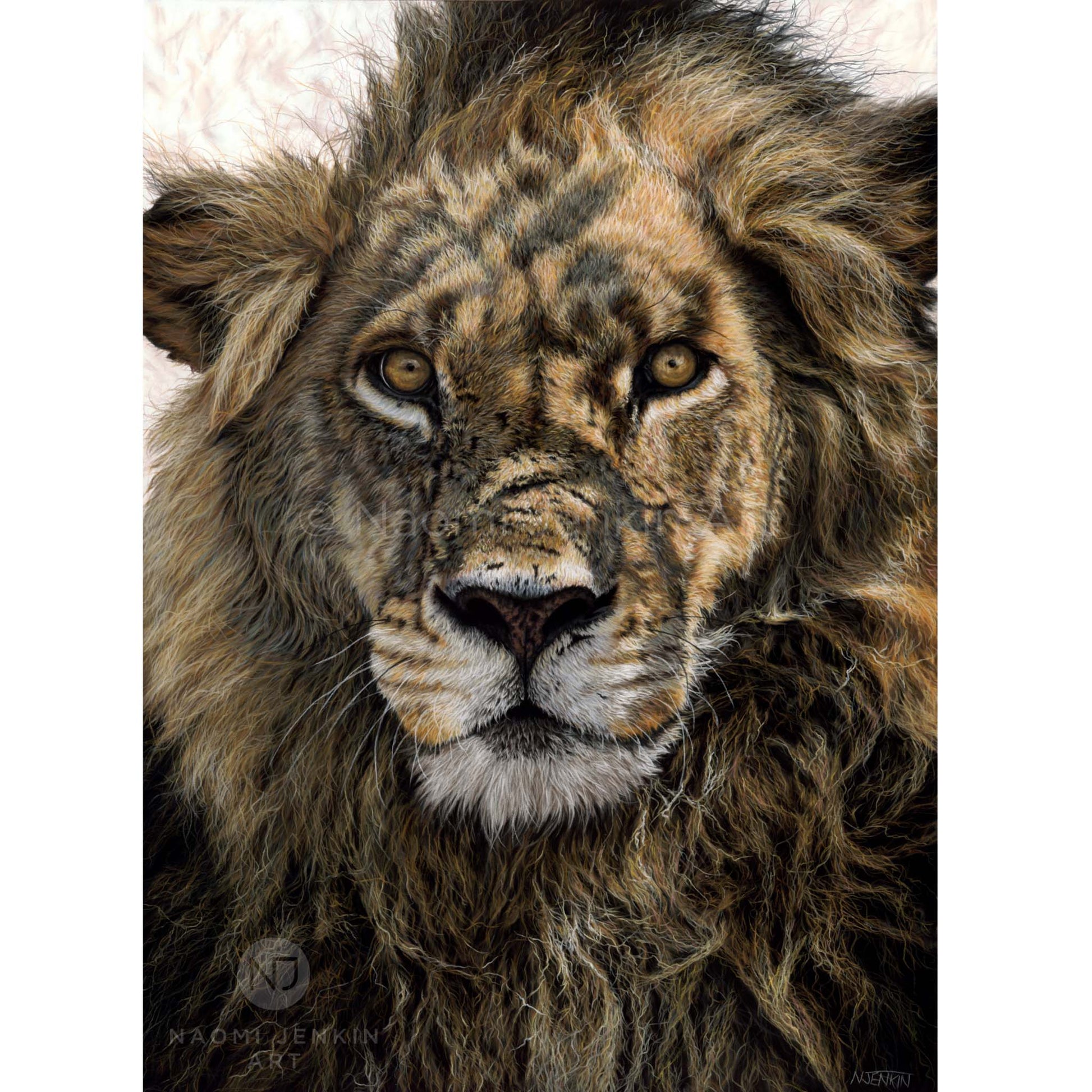 "Warrior" - original lion pastel painting by wildlife artist Naomi Jenkin Art. 