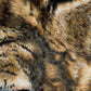 Close up details of an original lion pastel painting titled "Warrior" by Naomi Jenkin Art. 