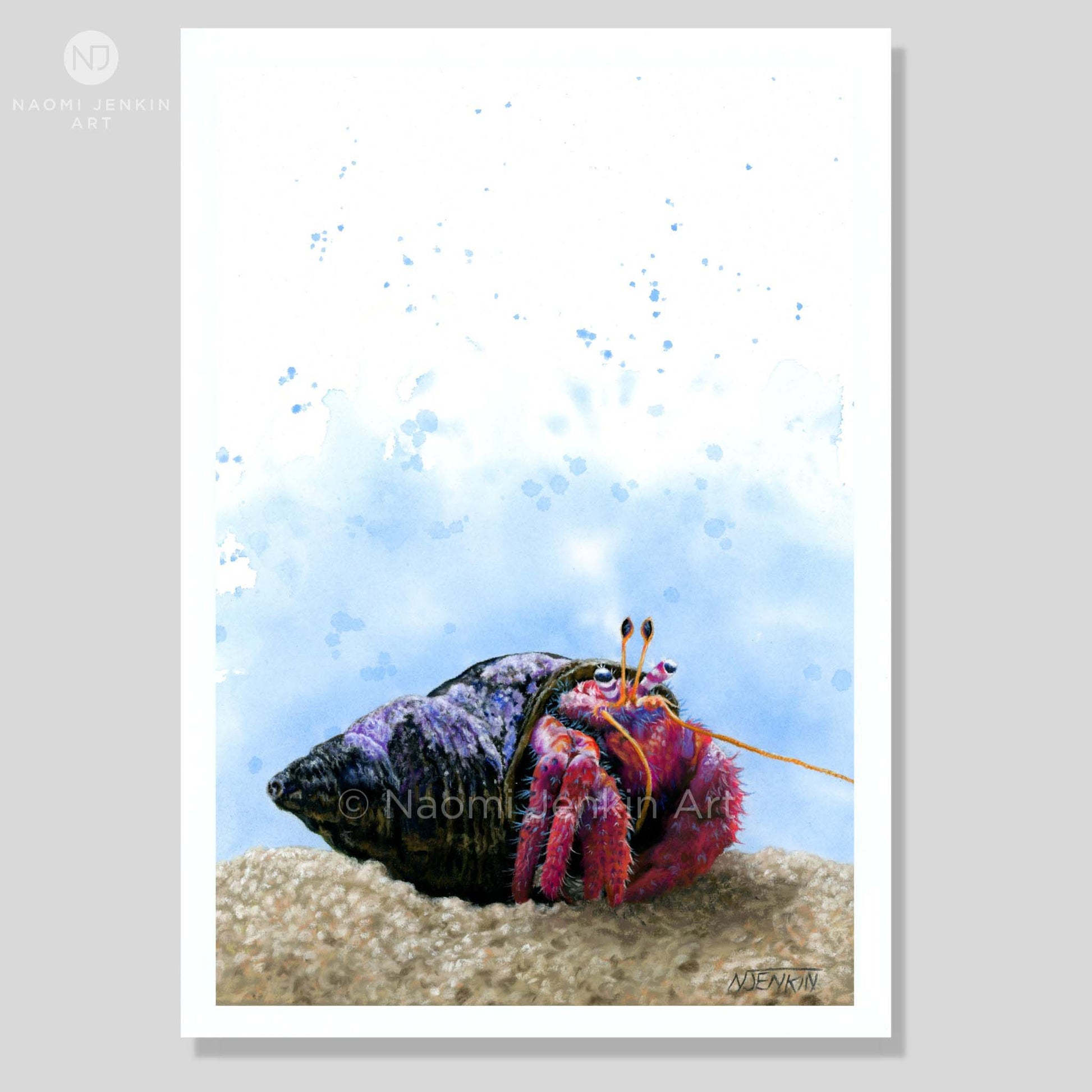 Colorful hermit crab art print by Naomi Jenkin, with a soft blue watercolour background.