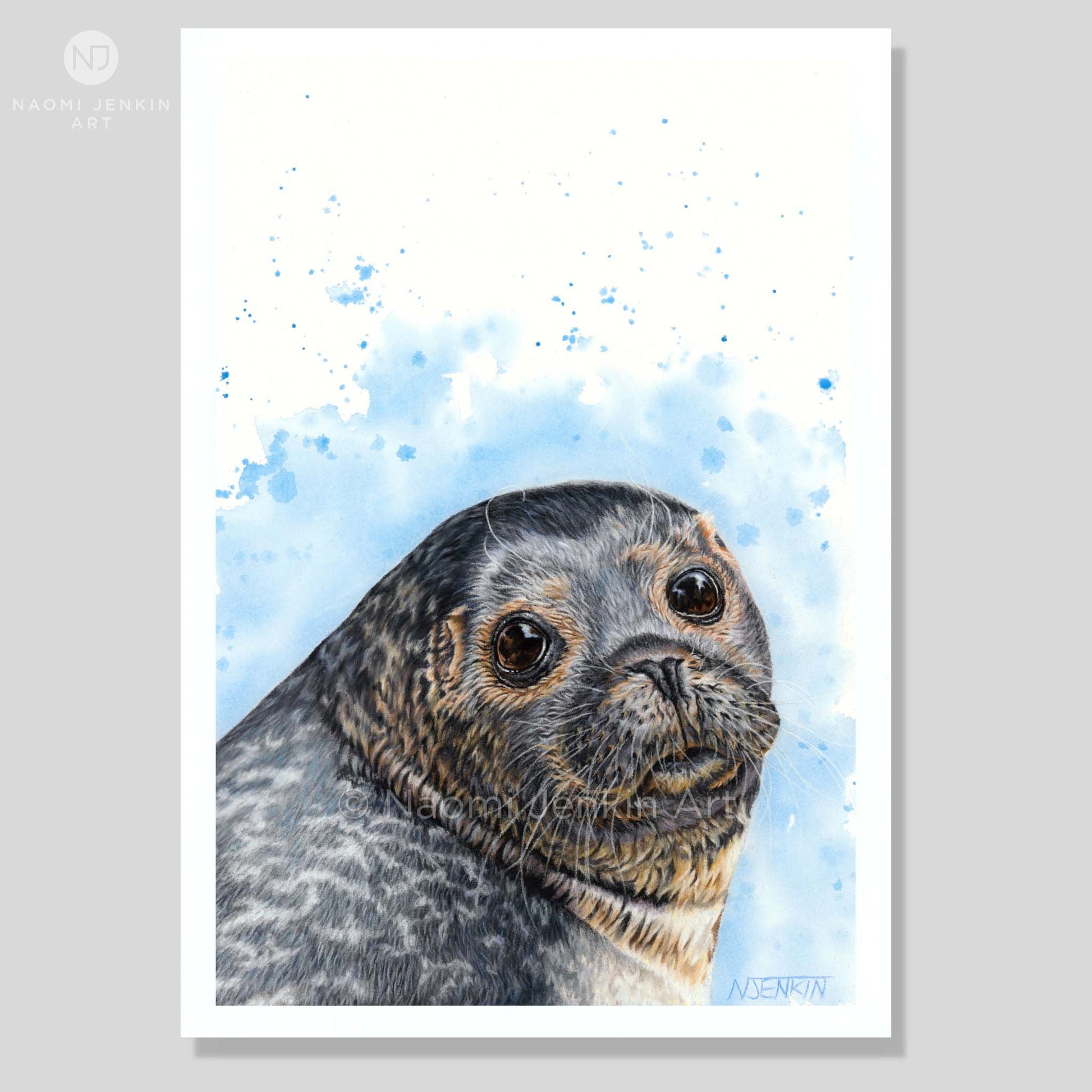 Art print of a grey seal on a blue painted background by artist Naomi Jenkin. 