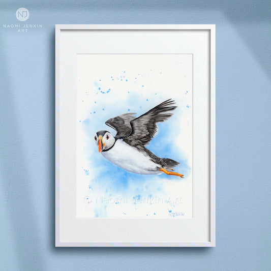 Framed art print of a puffin in flight on a light blue background by artist Naomi Jenkin. 