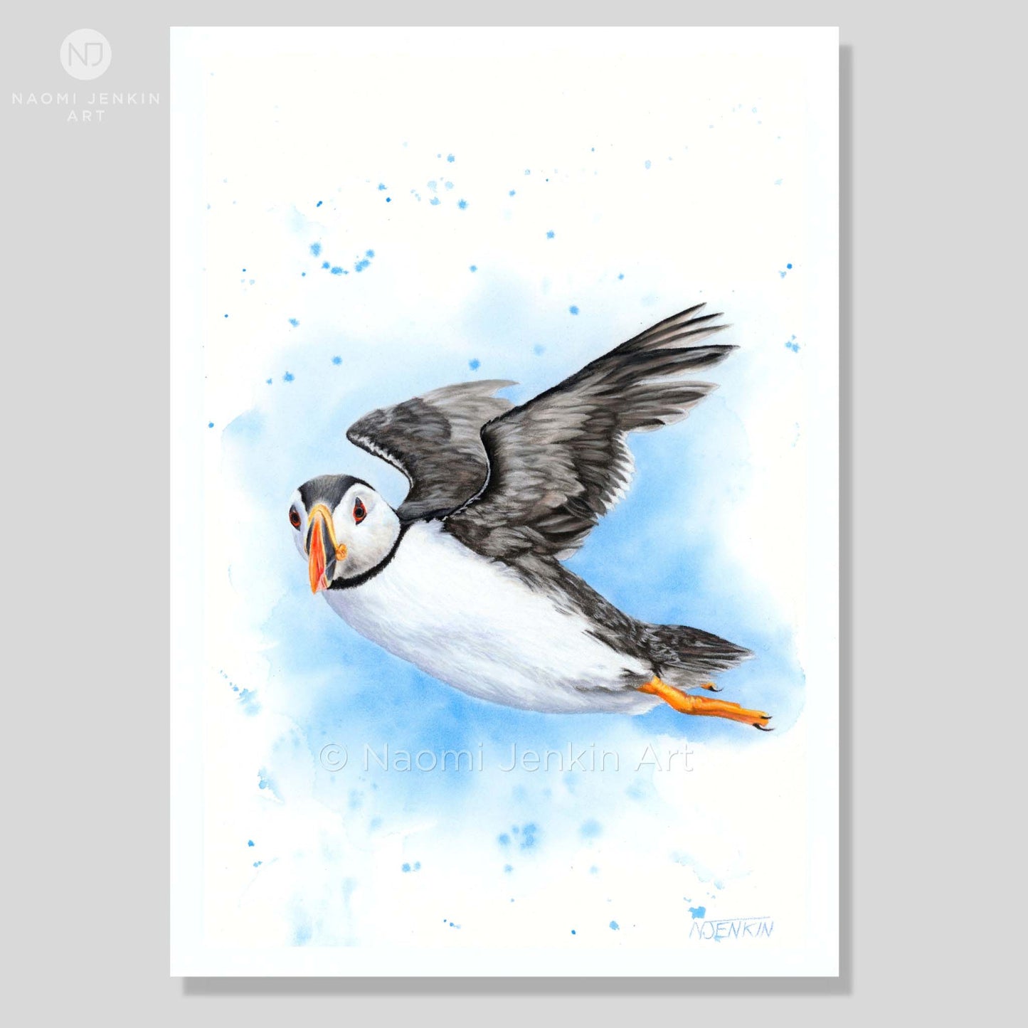 Art print of a puffin in flight on a light blue background by artist Naomi Jenkin. 