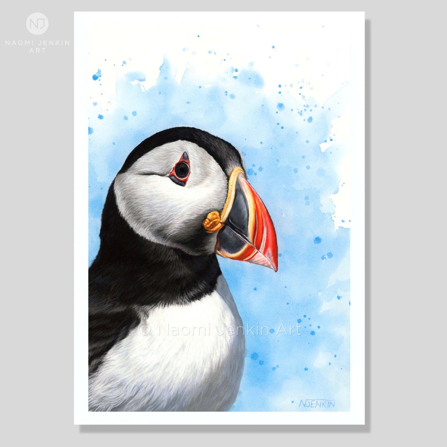 Puffin art print by Naomi Jenkin Art. 