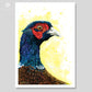 Art print of a colourful pheasant drawing with a bright yellow background. Artist - Naomi Jenkin.