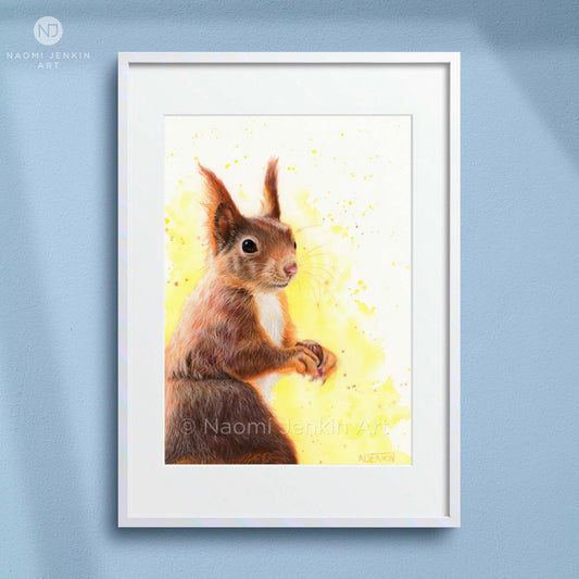 Framed red squirrel art print of a drawing by Naomi Jenkin Art. 