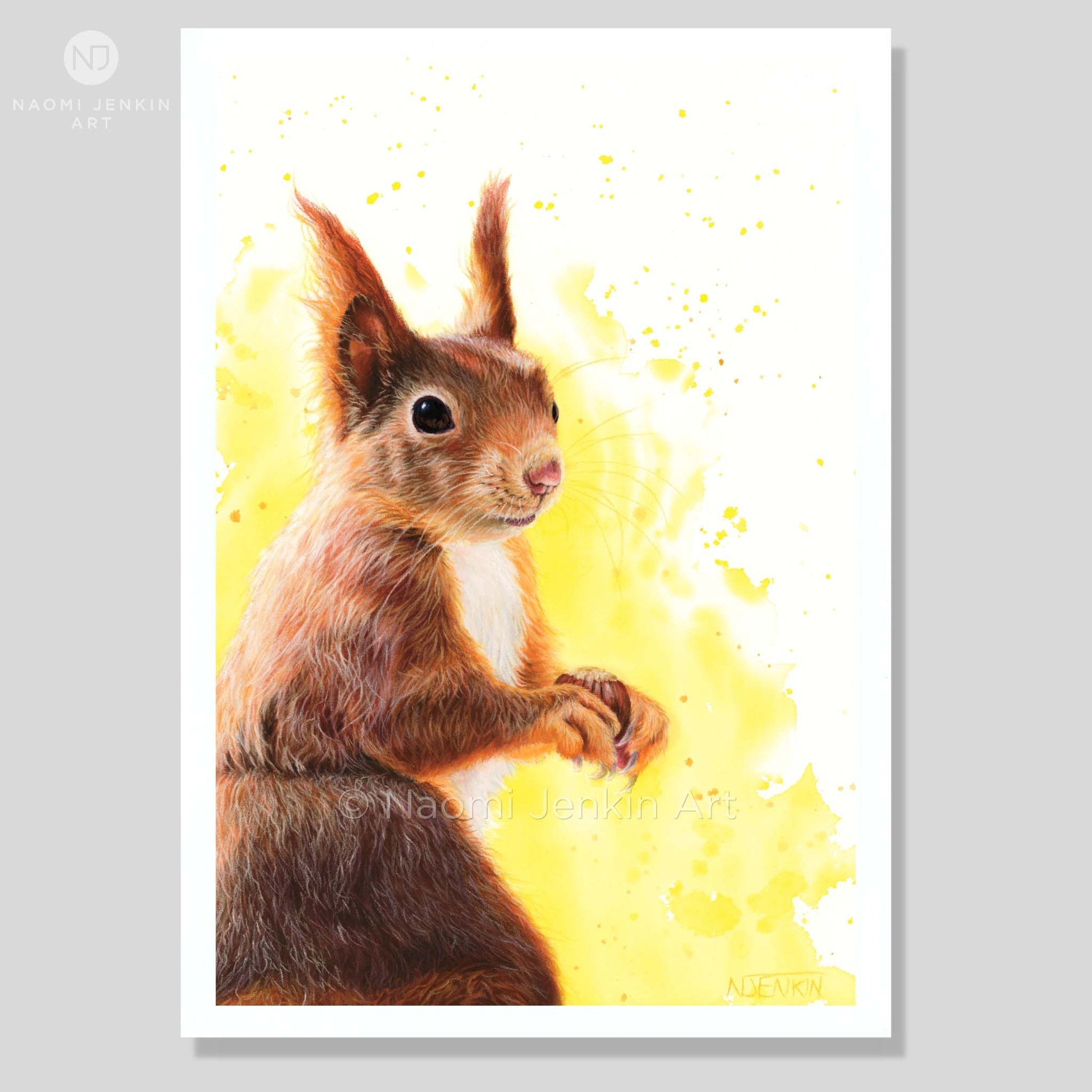Red squirrel art print of a drawing by Naomi Jenkin Art. 
