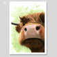 Art print of a highland cow drawing with a light green background by Naomi Jenkin Art. 