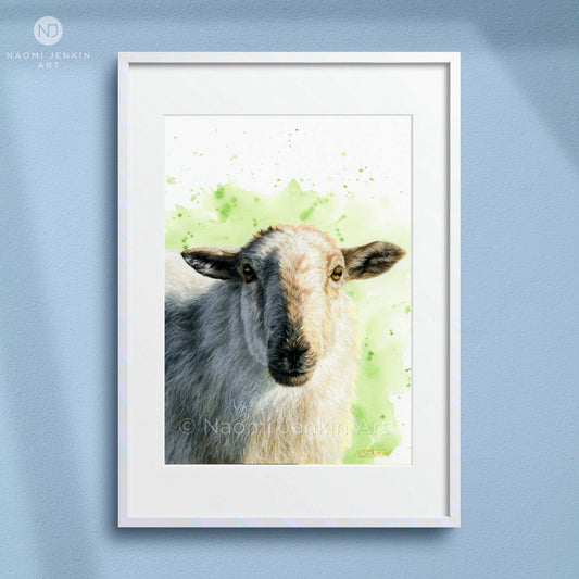 Framed artwork of a sheep with a green watercolour background by Naomi Jenkin Art. 