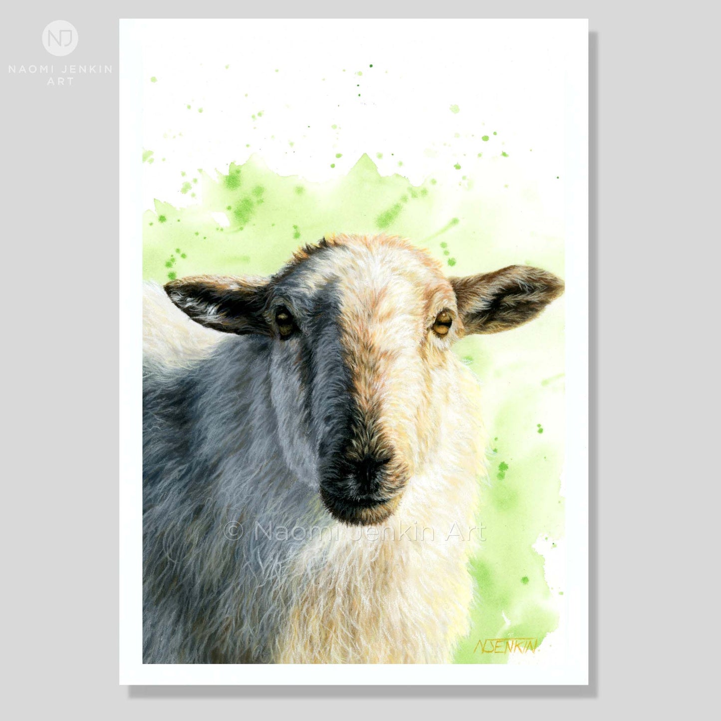 Art print of a sheep drawing with a green watercolour background by Naomi Jenkin Art. 
