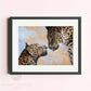 Leopard art print by wildlife artist Naomi Jenkin. 