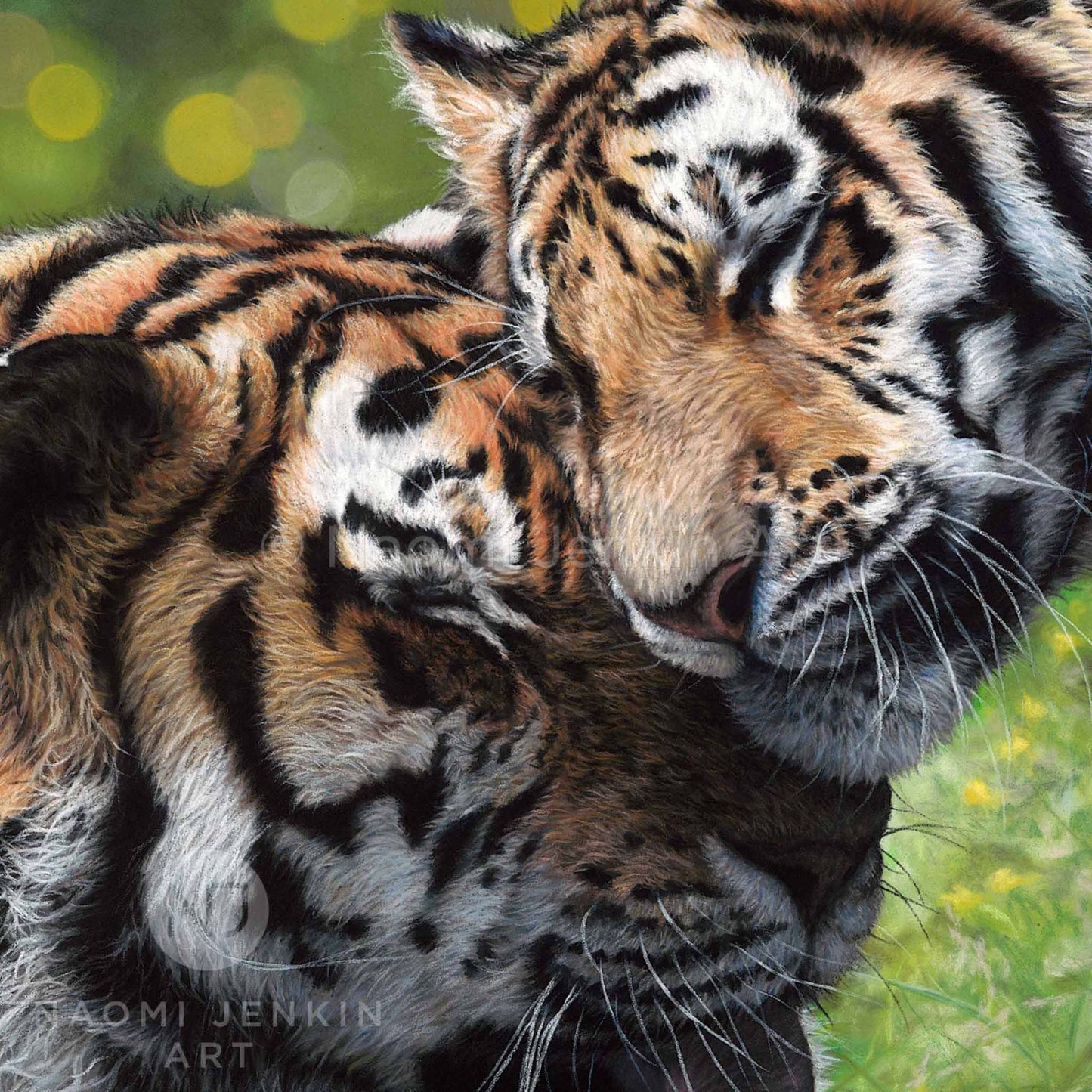 Original tiger painting 'Devotion' by wildlife artist Naomi Jenkin Art
