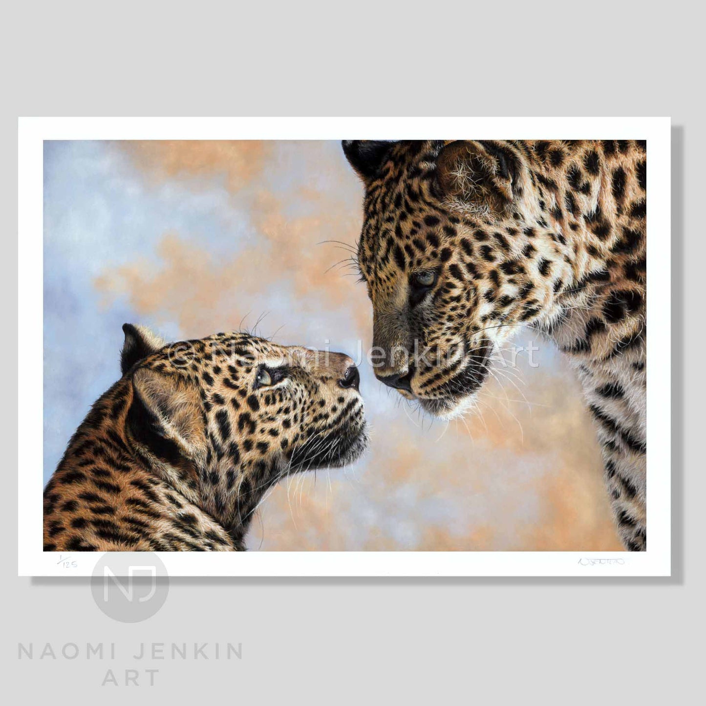 Leopard art print by wildlife artist Naomi Jenkin Art