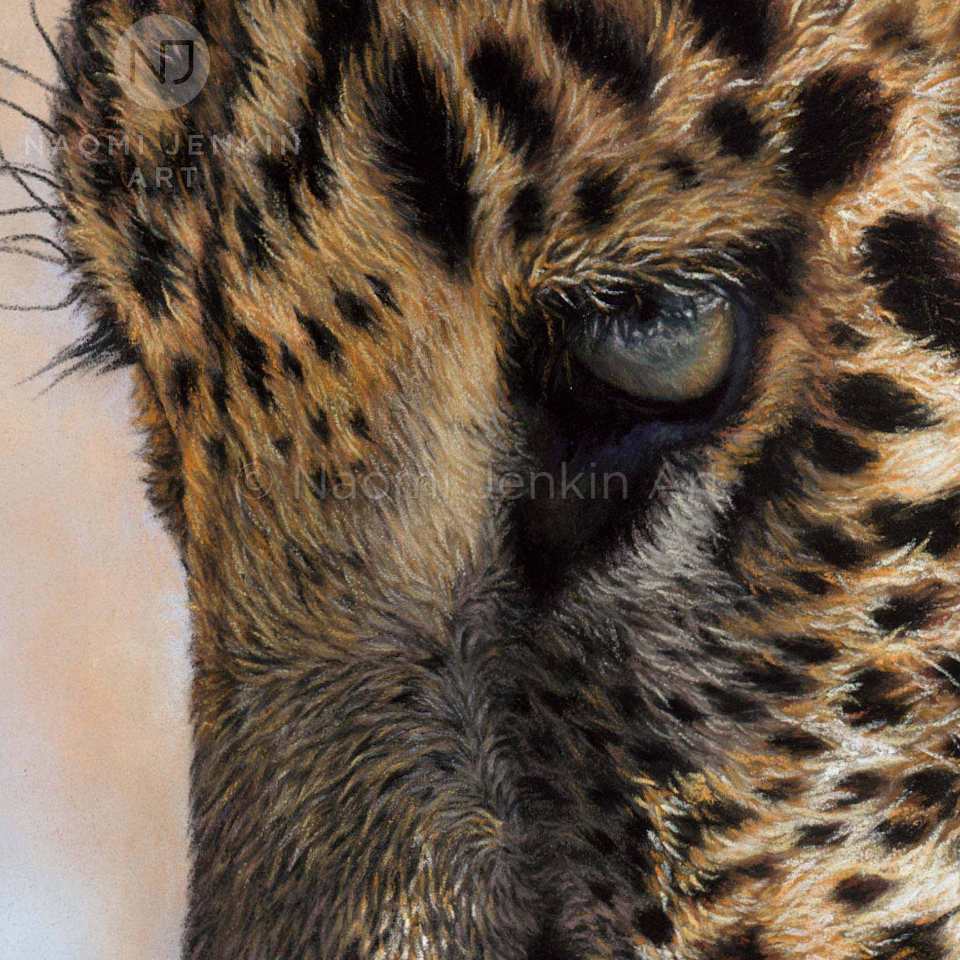 Close up drawing of a leopard's face by artist Naomi Jenkin as part of the 'Eye to Eye' leopard print