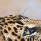 Close up of a leopard painting by wildlife artist Naomi Jenkin.