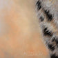 Detailed fur close up from the 'Eye to Eye' leopard painting from Naomi Jenkin