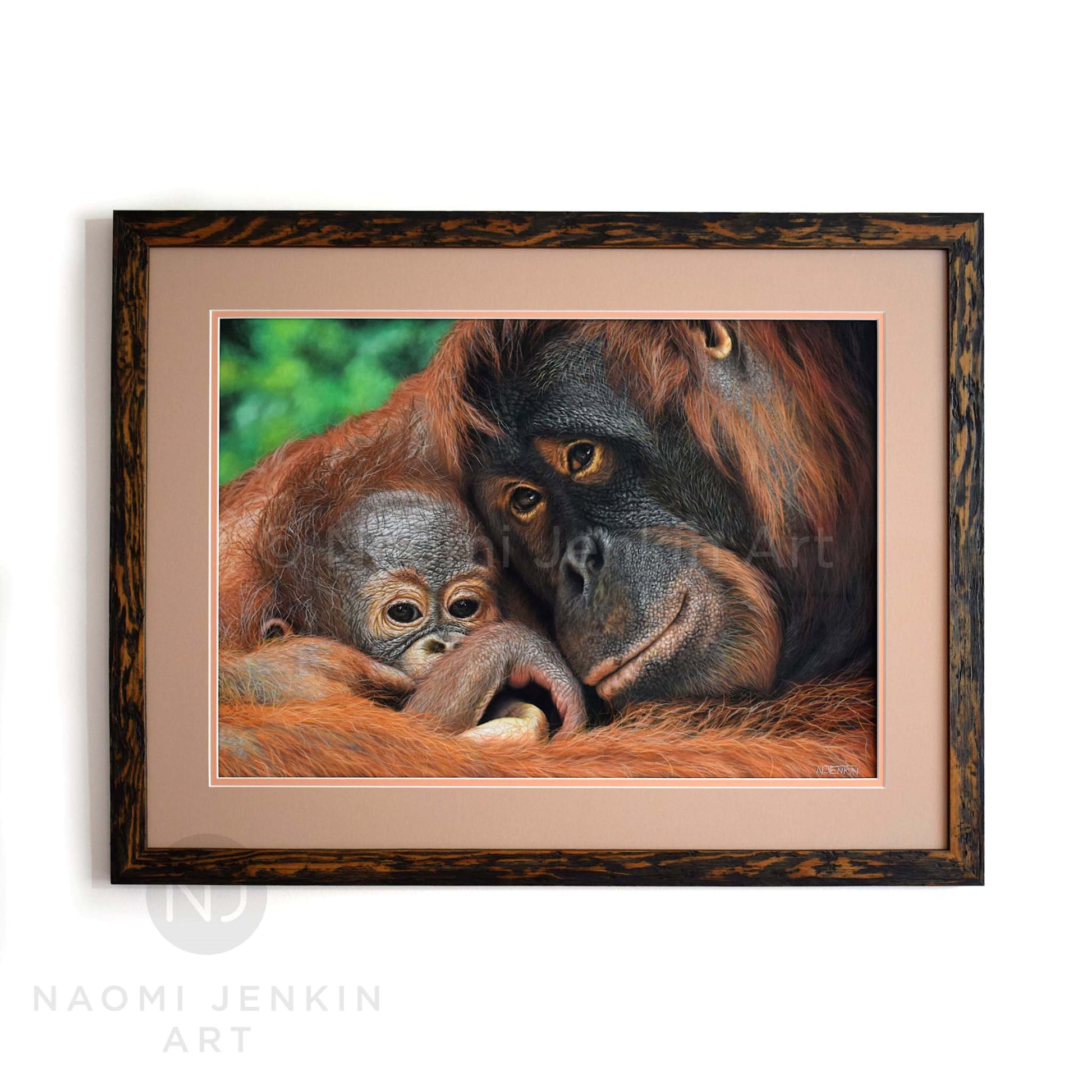 Orangutan painting by wildlife artist Naomi Jenkin. 