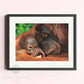 Framed orangutan art print by wildlife artist of the year 2022 finalist Naomi Jenkin Art