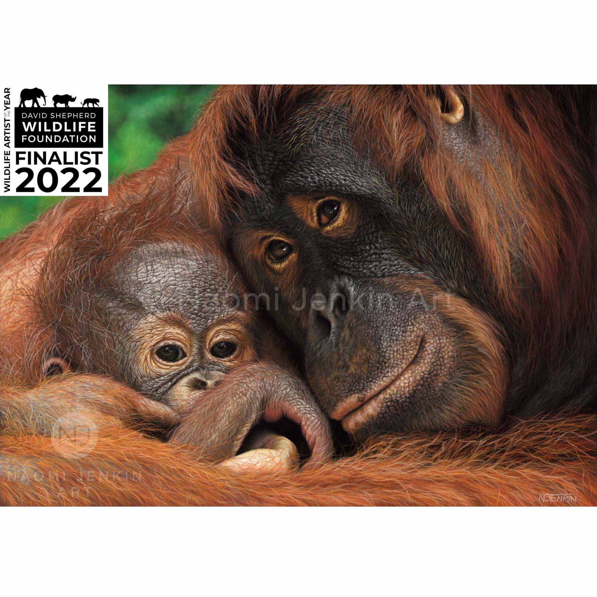 Orangutan mum and baby print by wildlife artist of the year 2022 finalist Naomi Jenkin