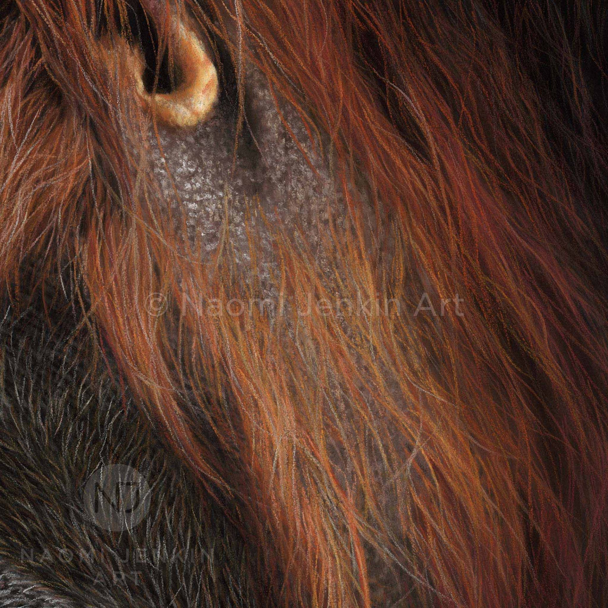 Close up of an orangutan painting by wildlife artist Naomi Jenkin. 