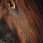 Close up orangutan fur drawing from the print 'Hold Me Closer' by Naomi Jenkin