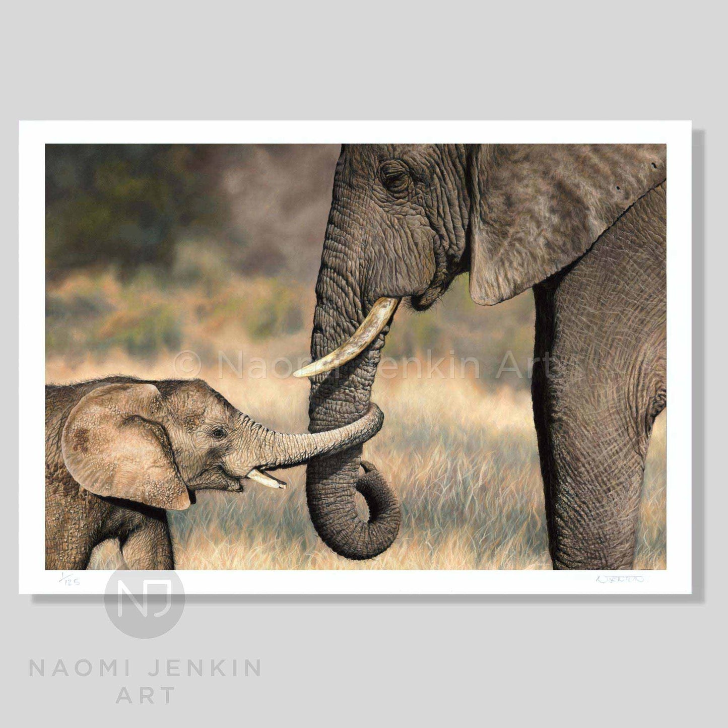 Elephant art print produced from an original pastel painting by Naomi Jenkin