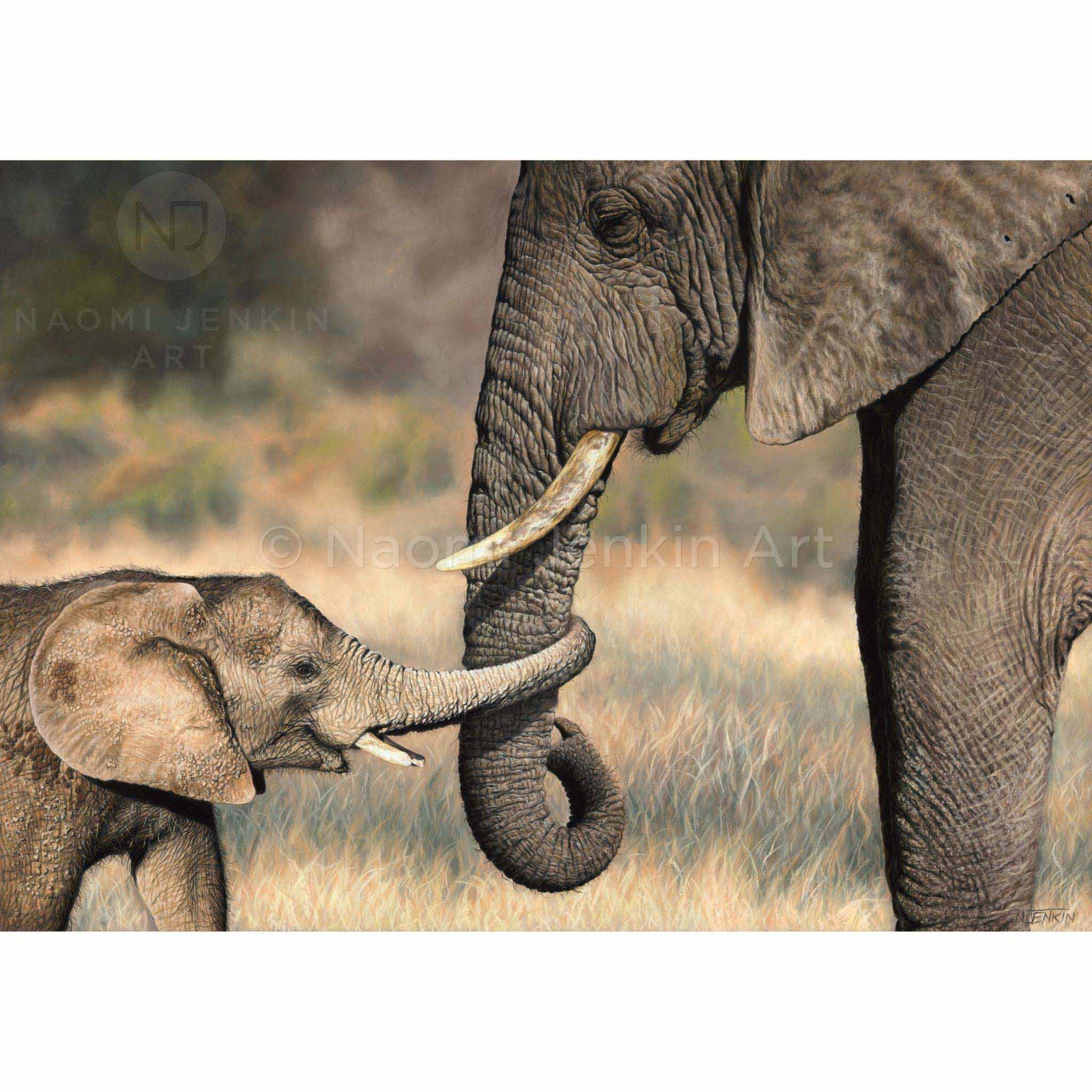 Elephant painting by wildlife artist Naomi Jenkin. 