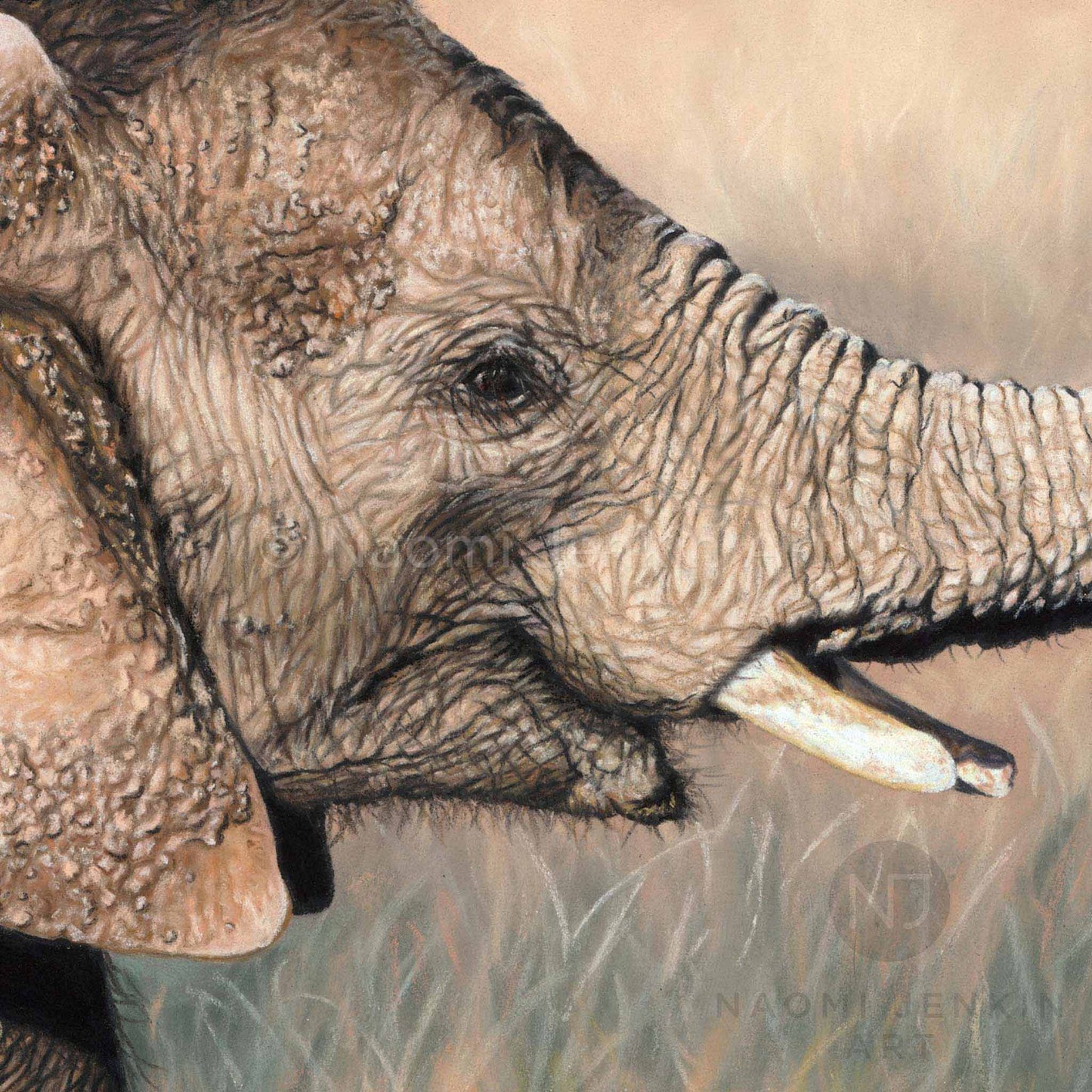 Elephant calf drawing close up,  from the elephant print 'Little and Large' by Naomi Jenkin