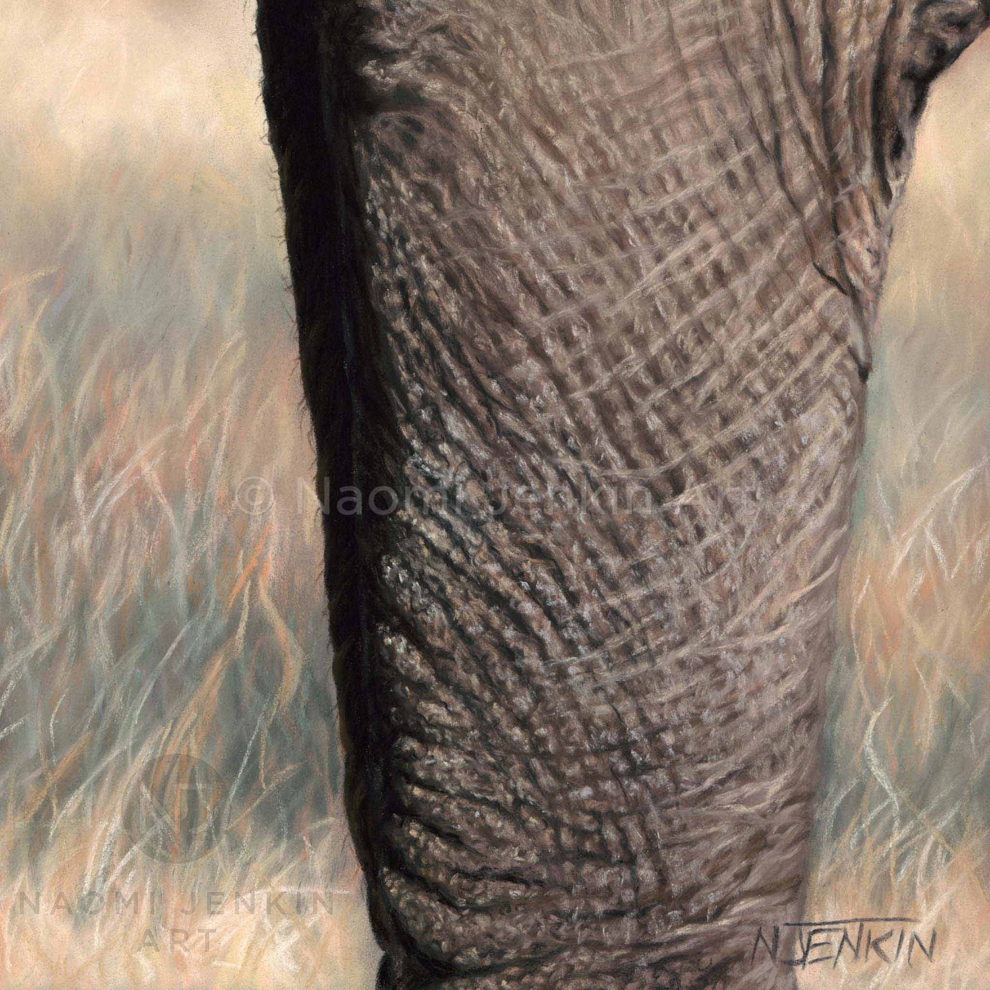 Close up elephant leg drawing from the print 'Little and Large' by Naomi Jenkin
