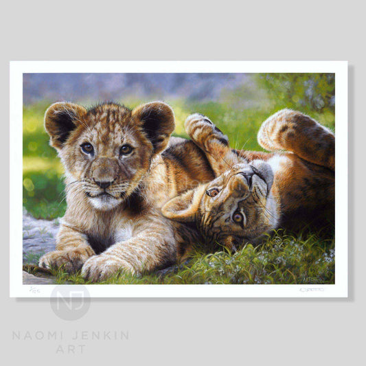 Lion art print 'Lyin Around' by wildlife artist Naomi Jenkin Art