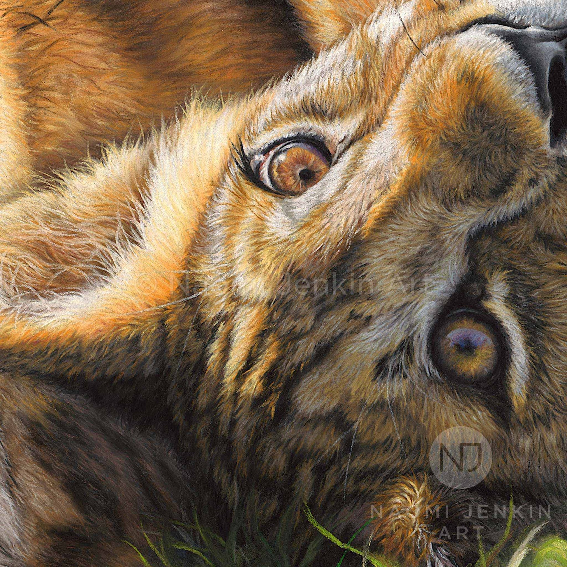 Playful art print of two lion cubs by wildlife artist Naomi Jenkin