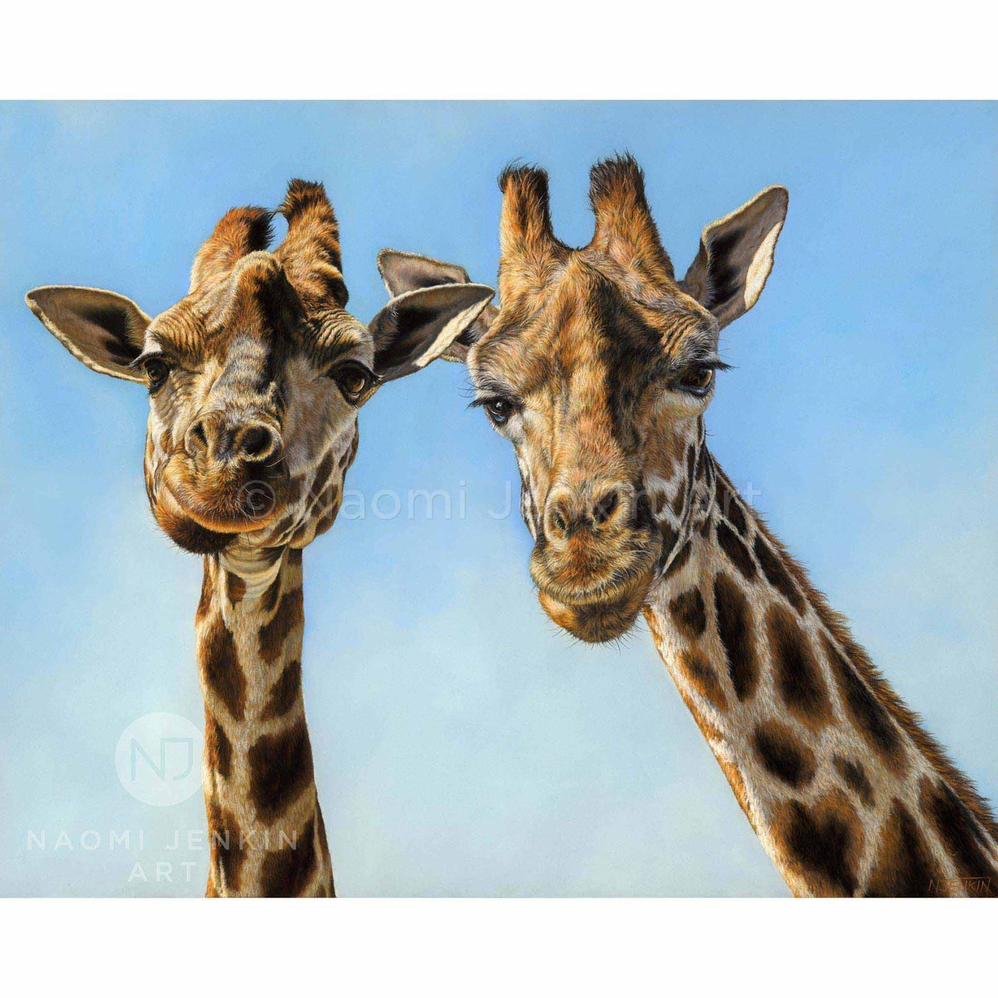 Giraffe painting by wildlife artist Naomi Jenkin.