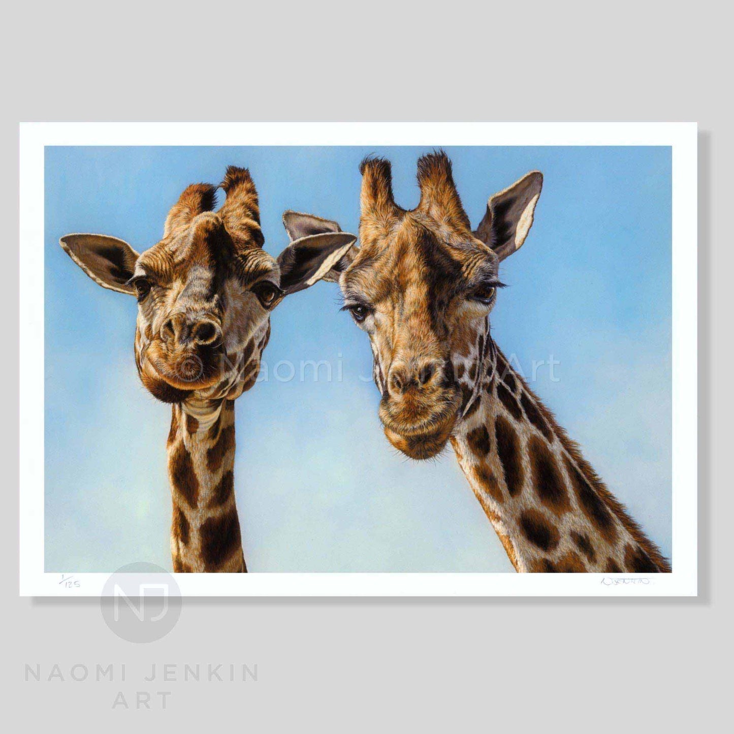Giraffe art print by wildlife artist Naomi Jenkin. 
