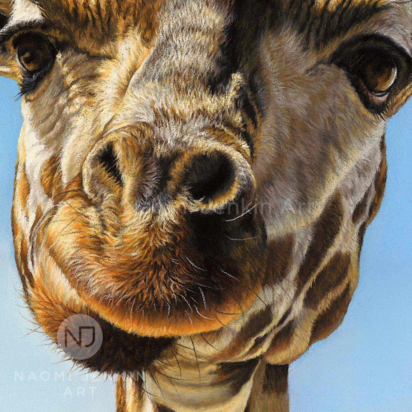 Close up comical giraffe face drawing from the print 'Neck and Neck' by Naomi Jenkin