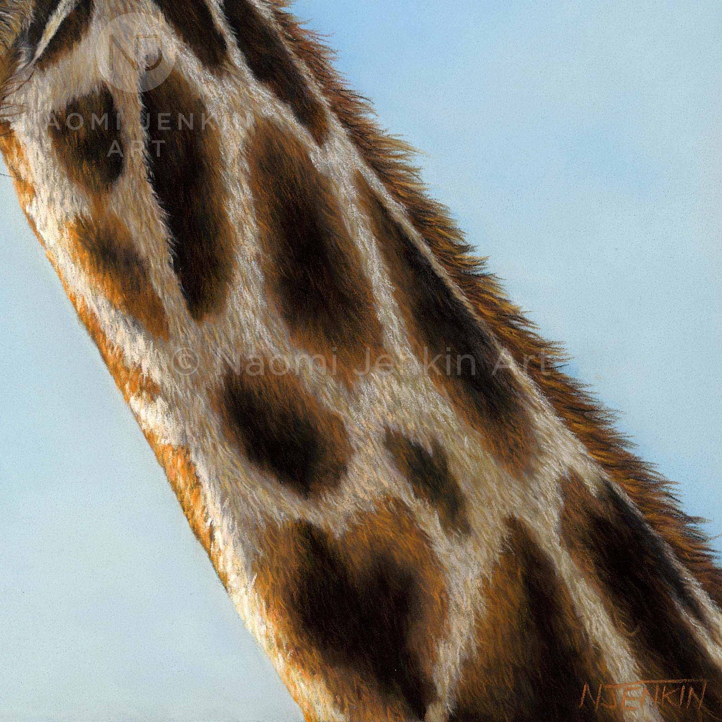 Detailed giraffe close up from the art print 'Neck and Neck' by wildlife artist Naomi Jenkin