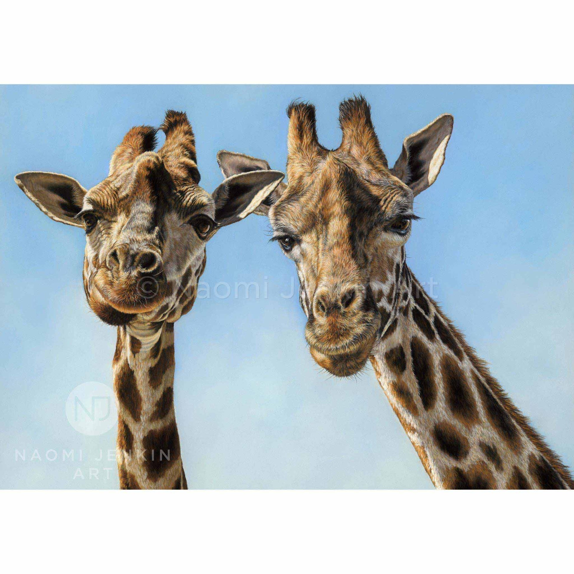 Giraffe art print including two amusing giraffes displaying the ‘sideways chew’
