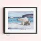 Framed bear art print 'On Thin Ice' by wildlife artist Naomi Jenkin