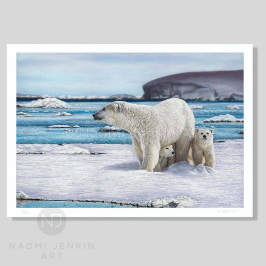 Polar bear art print 'On Thin Ice' by wildlife artist Naomi Jenkin