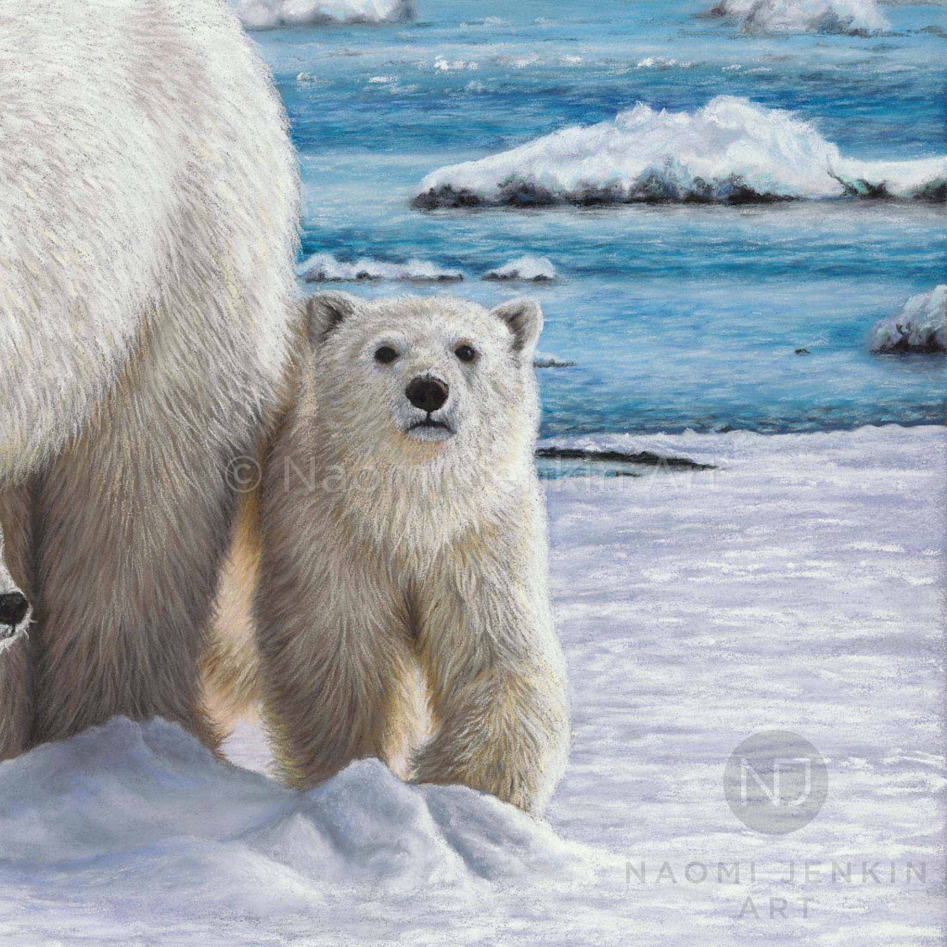 Close up painting print of a polar bear cub by artist Naomi Jenkin