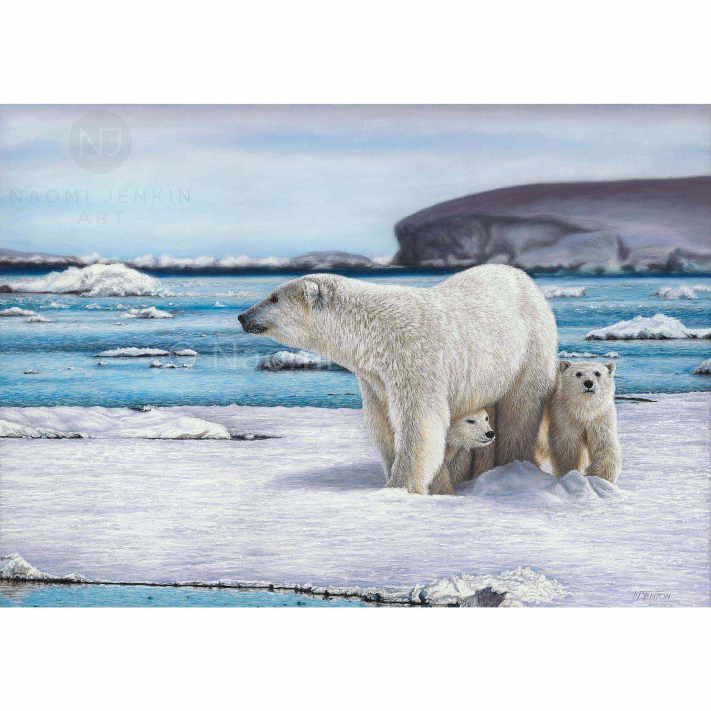 Original polar bear wildlife art by wildlife artist Naomi Jenkin
