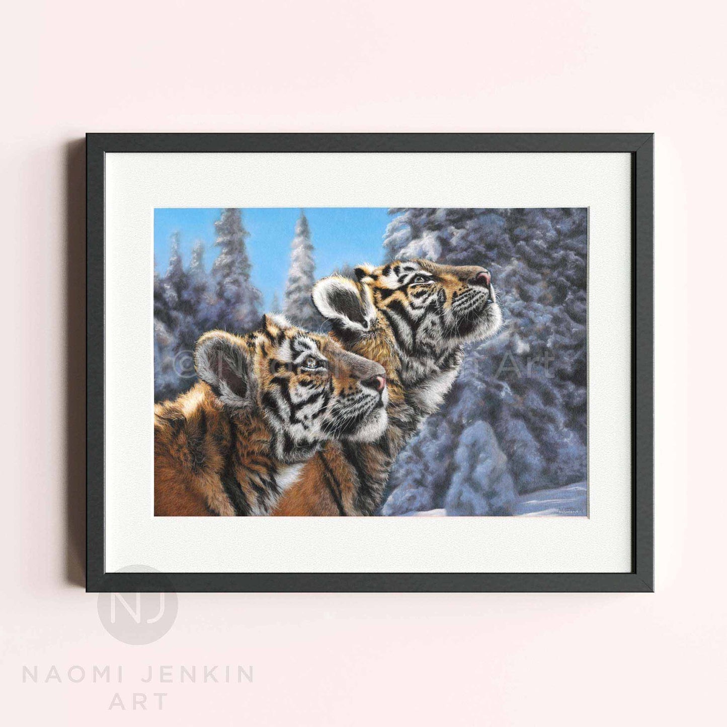 Framed tiger print by wildlife artist Naomi Jenkin