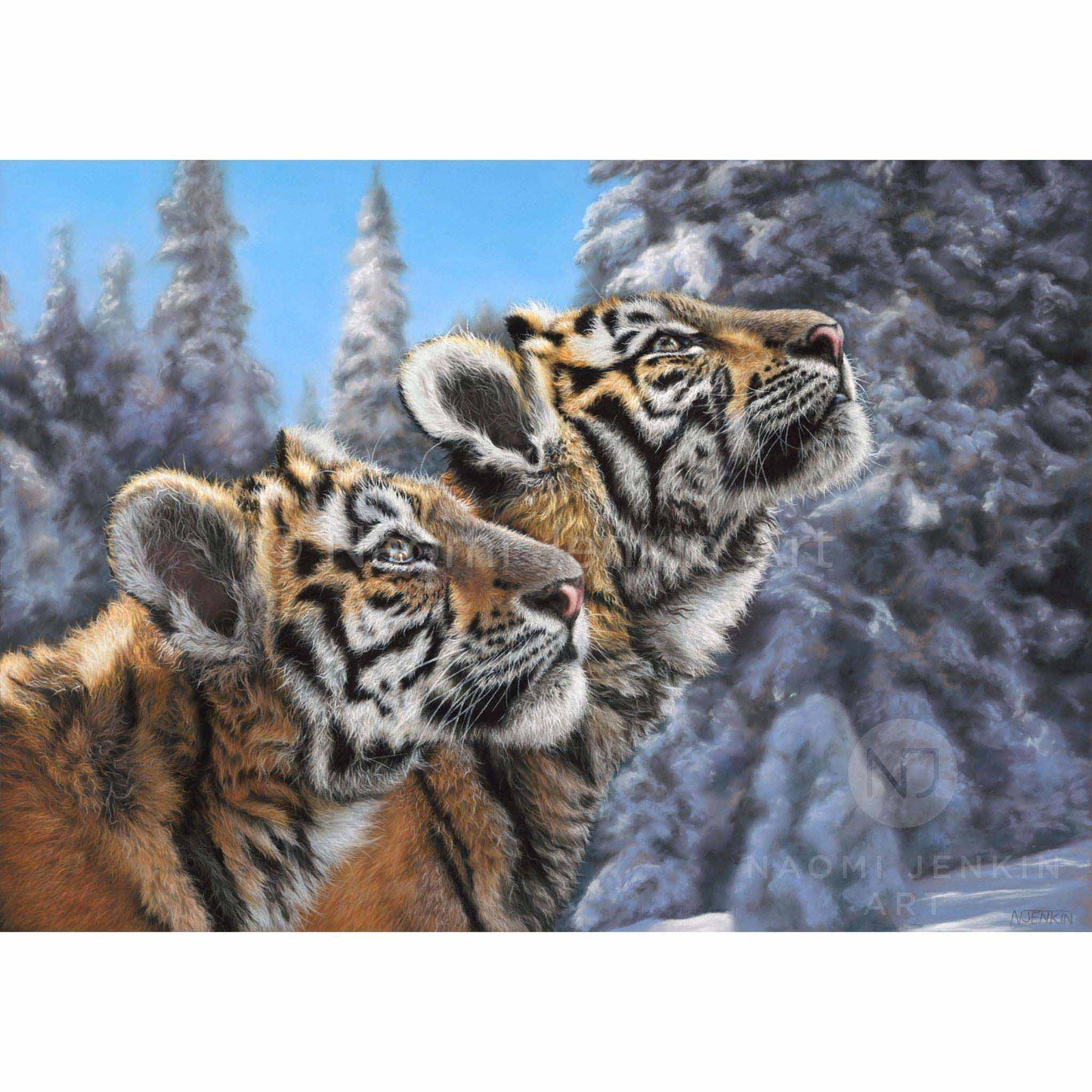 Tiger print produced from an original pastel painting featuring two Amur tigers